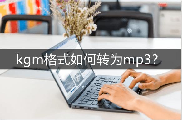 两招搞定音频格式转换